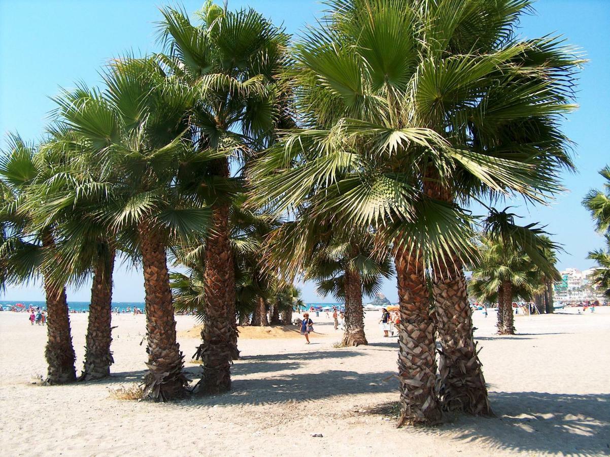 Central Almunecar, Beach Playa 125 Metres, By Old Town المظهر الخارجي الصورة